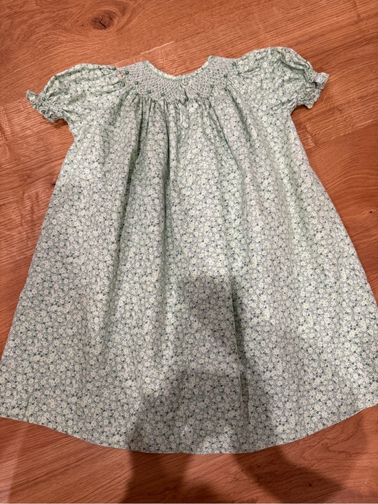 Other - Orient Expressed Smocked Dress in Mint Floral